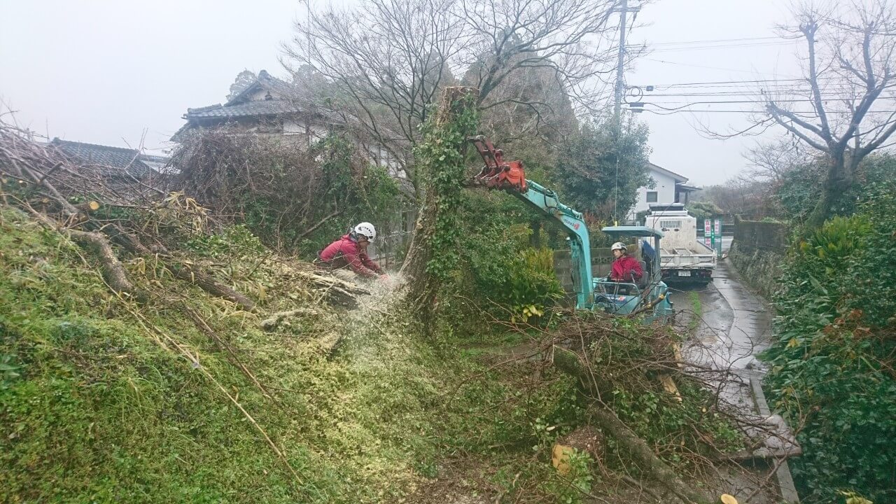 伐採を行う田嶋(左)、山本(重機)